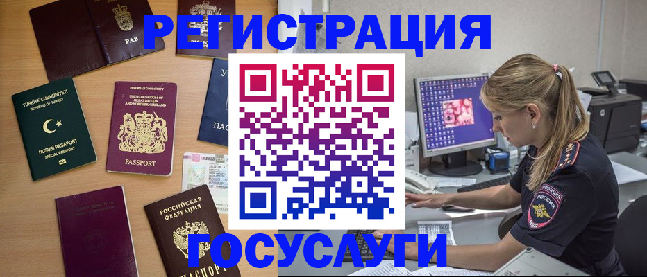 прописка для школы в Ершове